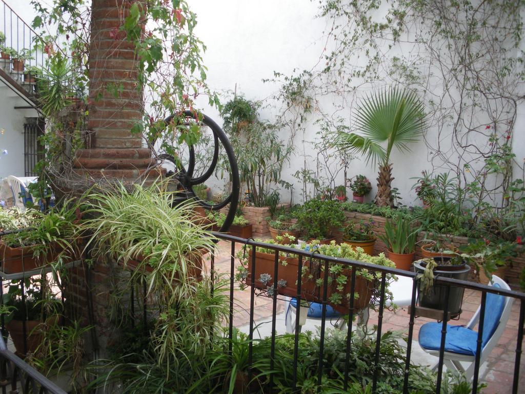 Le Presbytere Bed & Breakfast Rivesaltes Dış mekan fotoğraf